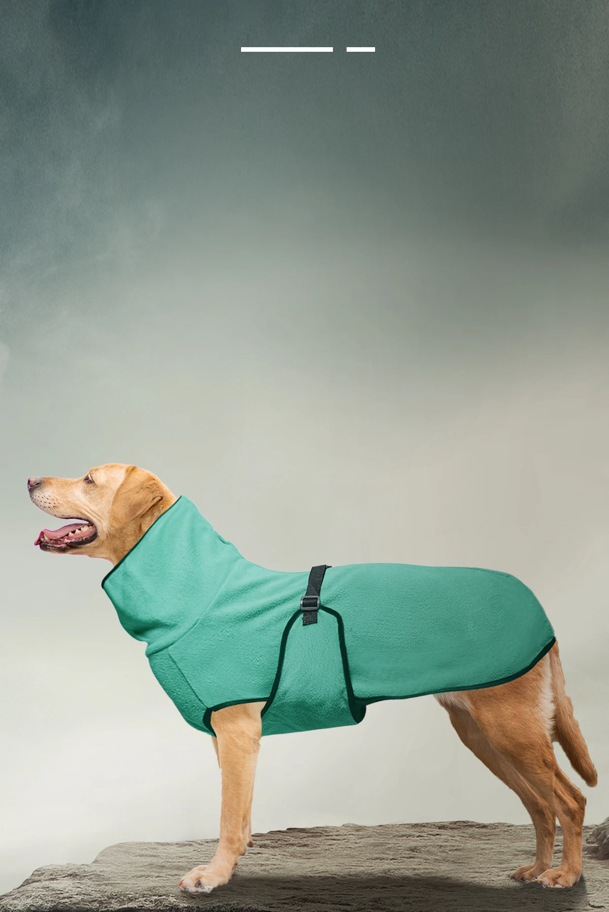 Warmer Hundemantel mit hohem Kragen und verstellbarem Riemen, weiche, thermische, winddichte Winter-Hundejacke, dehnbares, bequemes Haustier-Outfit für L – Detail 4