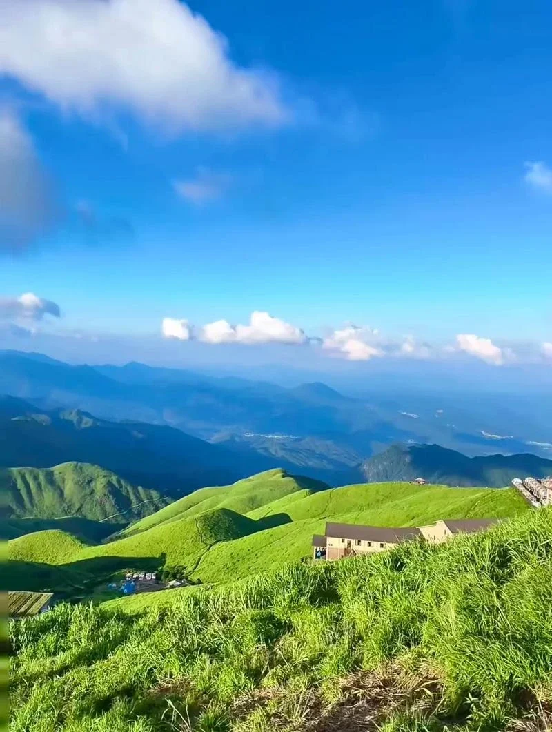 

2 шт. удлинители подрулевых лепестков переключения передач из карбона и ABS для Audi Q5 (8RB) 2010-2012, Q7 (4LB) 2010