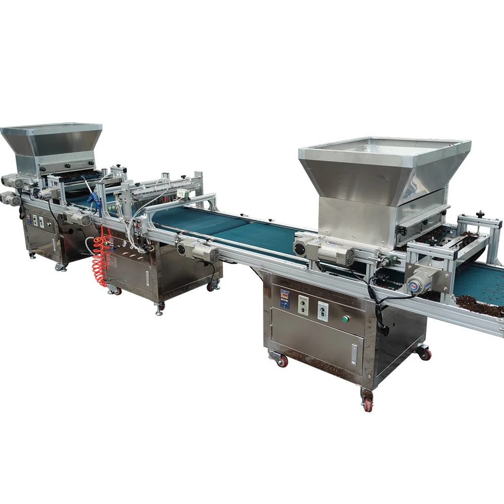Automatic high-precision vegetable seedling machine, automatic hole planter