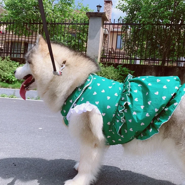 Sleeveless Lace Pet Parent-child Spring Summer Girl Love Dress for Teddy Cat Alaska Golden Retriever Large Dog Clothes