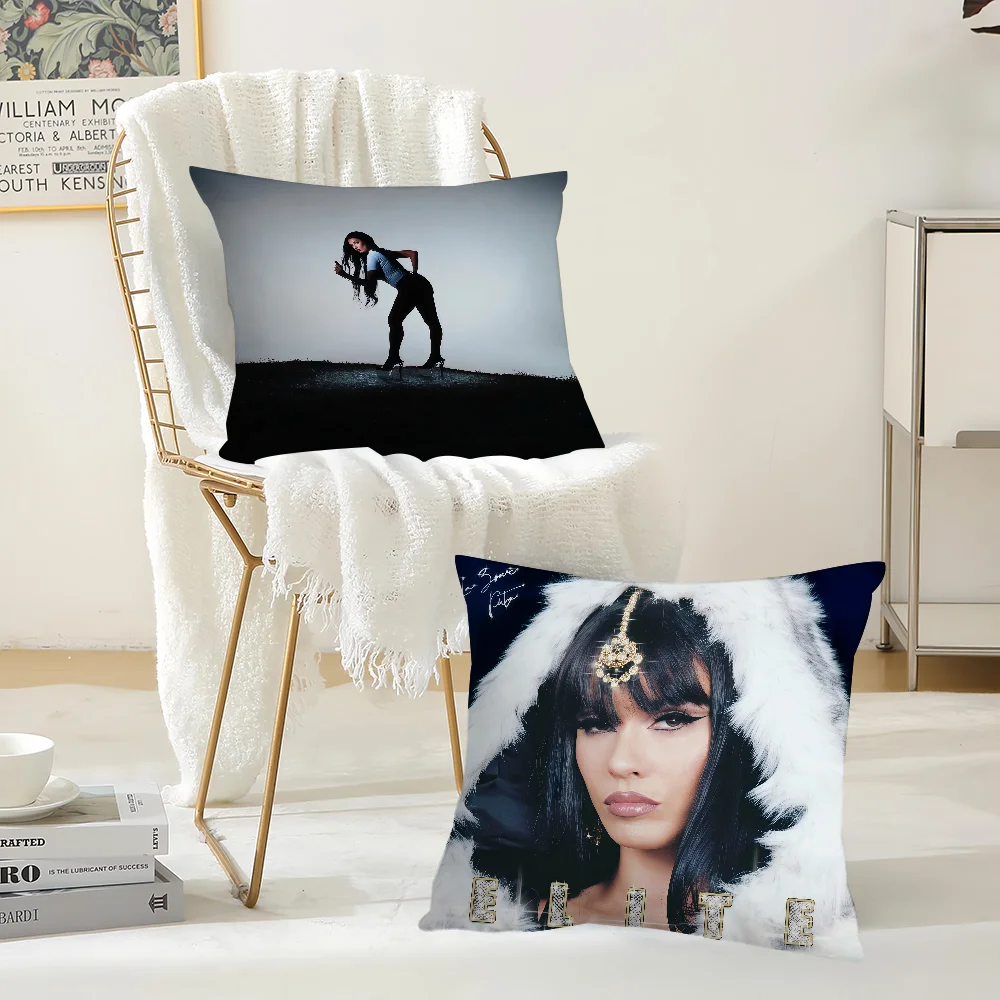 Singer L-la Zowi Pillow Case Suitable For Bedrooms Living Rooms Cars Home Decoration