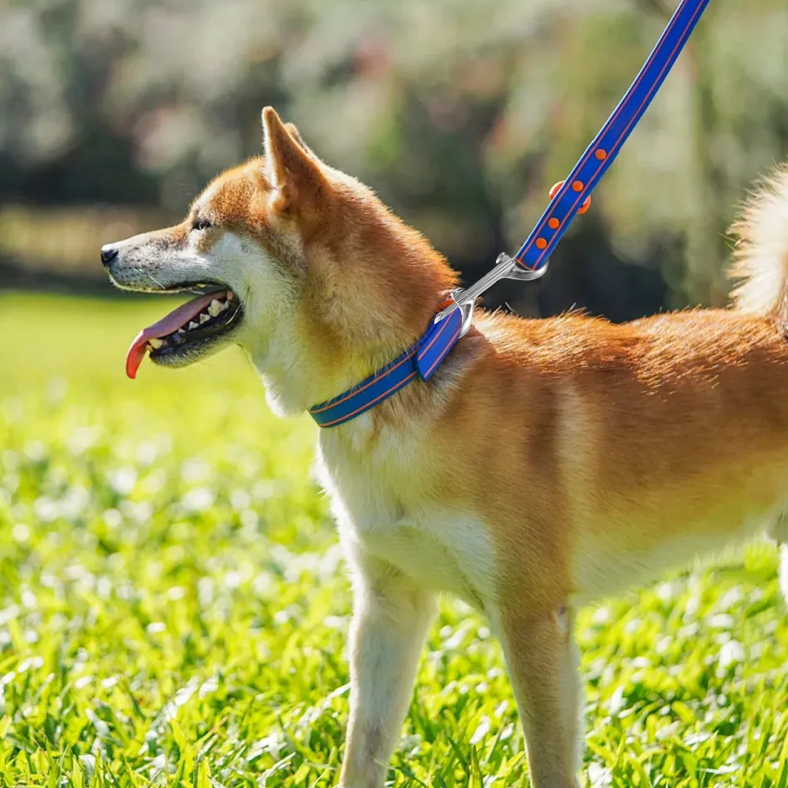 

2Pcs Double Ended Zinc Alloy Hook Buckles Spring Snap Clip for Dog Collar Leash Diving Fasteners Dog Collar Hardware