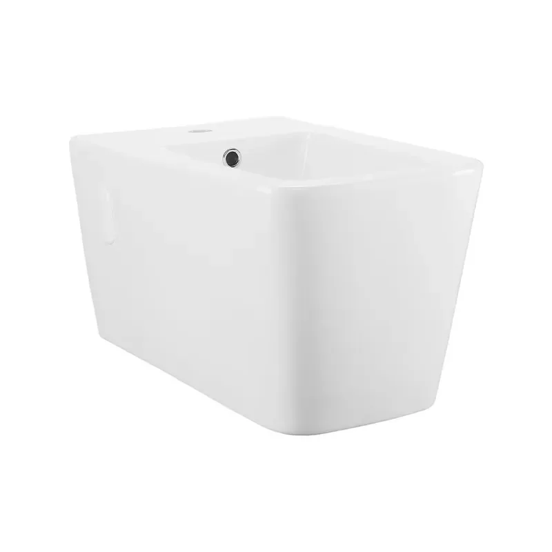 for Wall Mounted Ceramic Glass Bidet Seat Rectangular European Design Women Self Washing