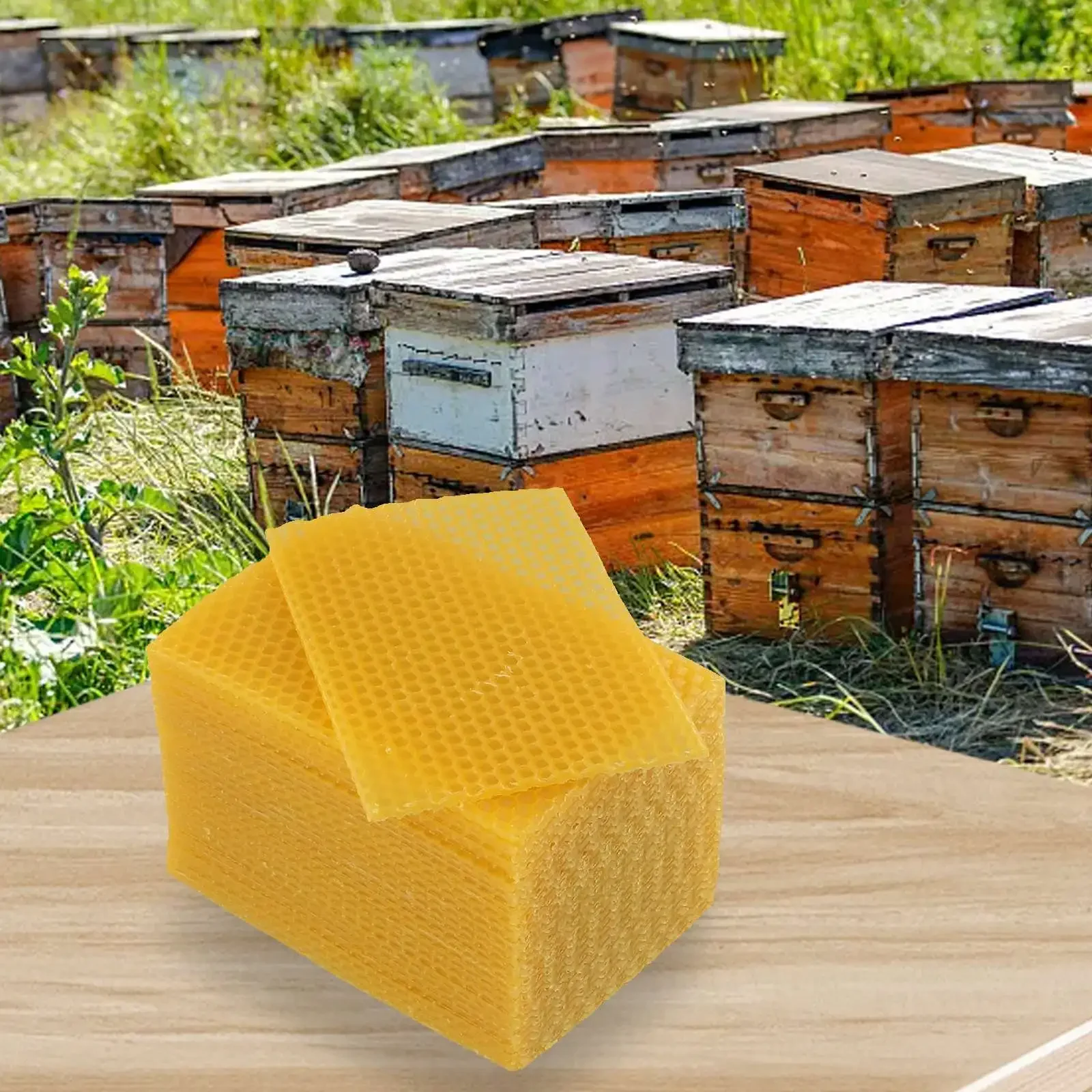 30pc Beeswax Hive Foundation Frames For Honeycomb For Nest Sheet To Promote Efficient Honey Extraction And Brooding