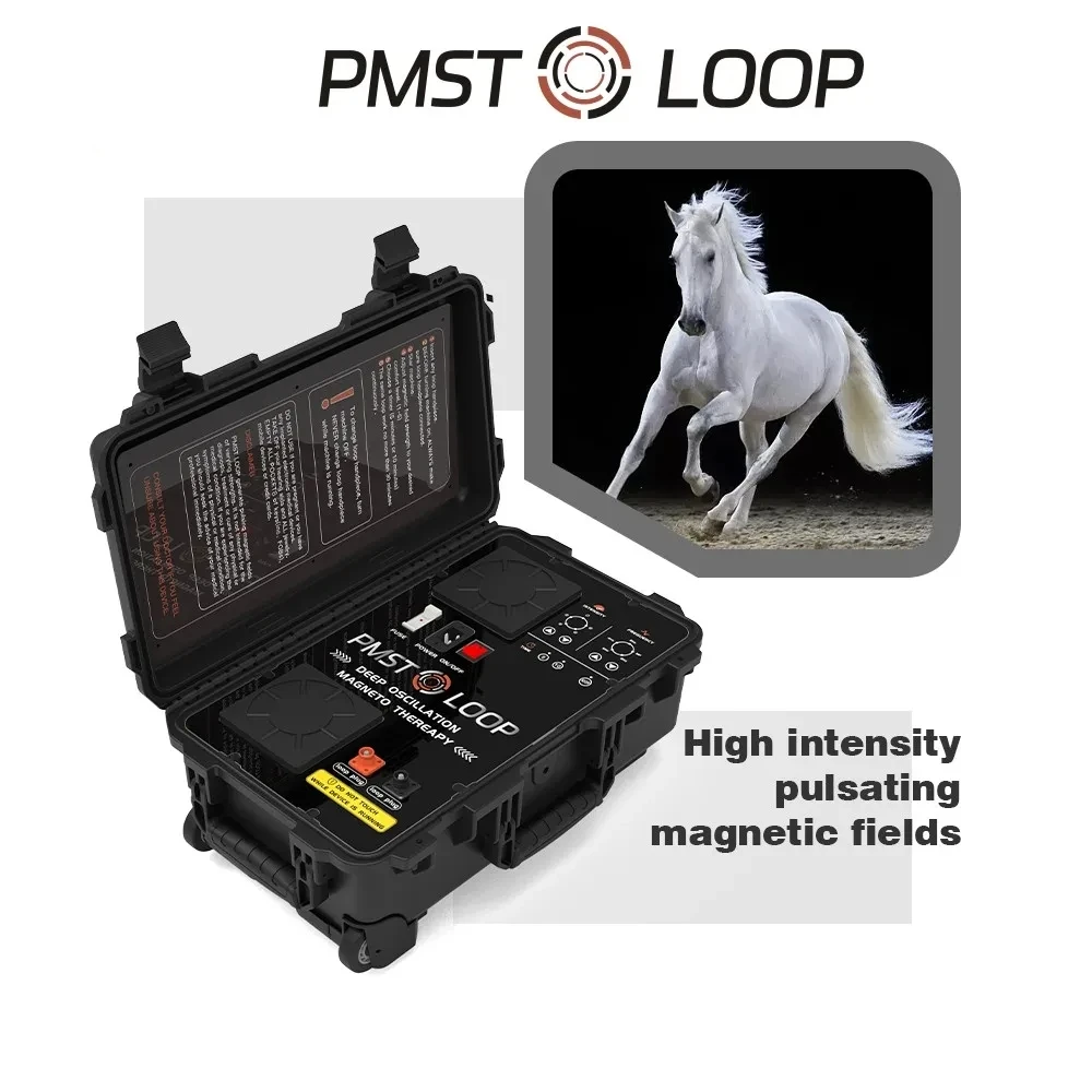 

Equine PEMF Therapy Horses Massage Machine PMST LOOP Magnetic Physiotherapy for Horse Pain Relief