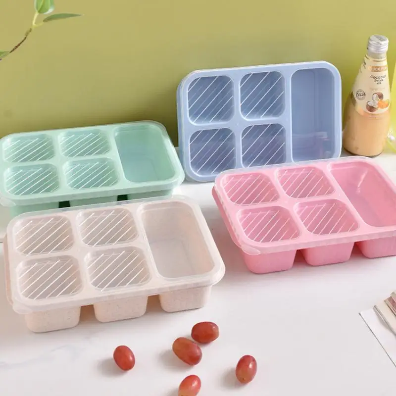 Reusable Bento Box for Lunch 5 Compartment with Leakproof Lid Snack Organizer