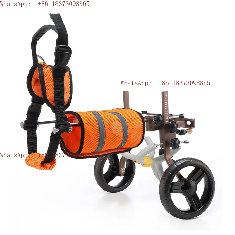 

Dog rehabilitation assisted disabled vehicle with detachable small and medium-sized dogs