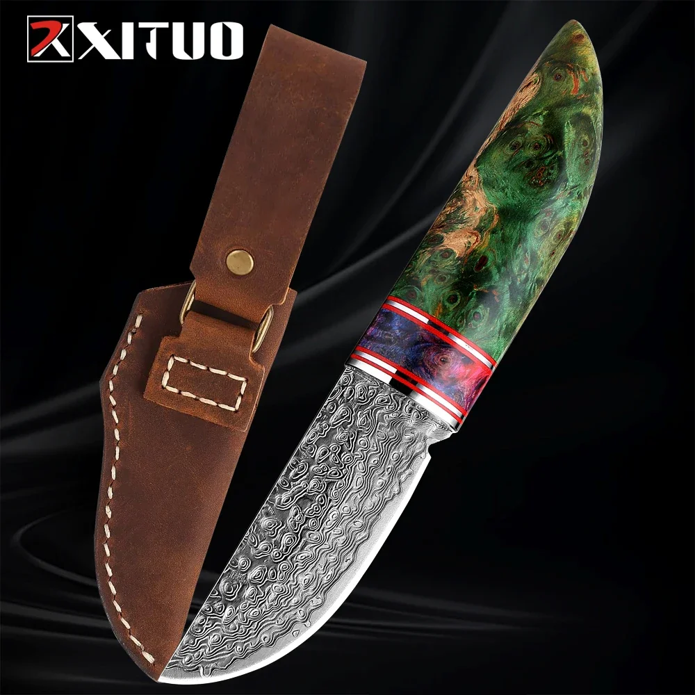 Outdoor Small Straight Knife VG10 Damascus Steel Camping Survival Sharp Knife Fruit Knife Japanese Knife with Leather Sheath