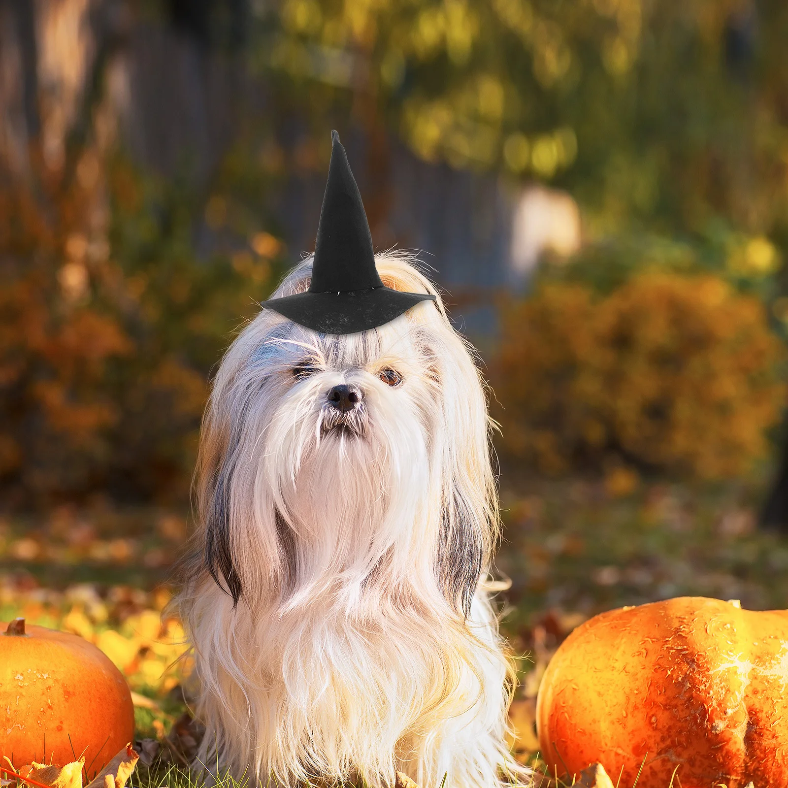 

2Pcs Witch Hat Halloween Pet Headdress Wear Resistant Adjustable Halloween Party Hat Pet Headdress Costume Caps Dog
