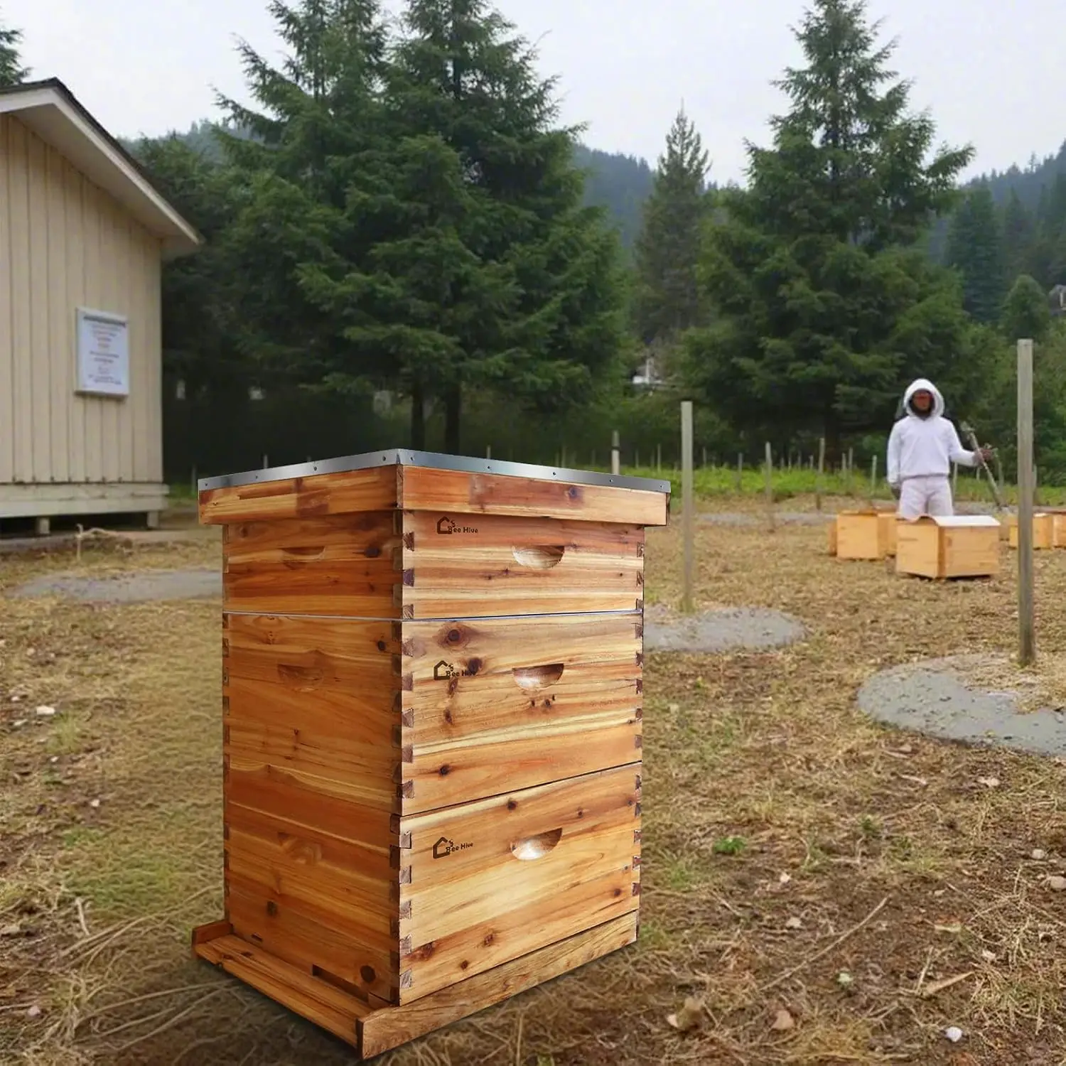 10-Frame Langstroth Bee Hive Coated with Beeswax Includes Beehive Frames and Foundations Beekeeping Starter Kit Honey Storage and Easy Beekeeping Medium Box