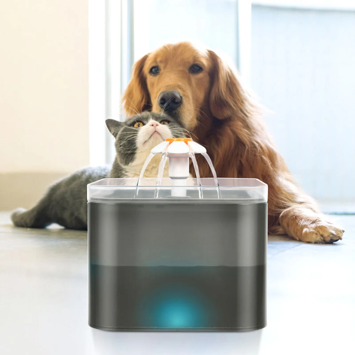 

Automatic Pet Cat Water Fountain with LED Lighting 1*Pack Filters 2L USB Dogs Cats Mute Drinker Feeder Bowl Drinking Dispenser