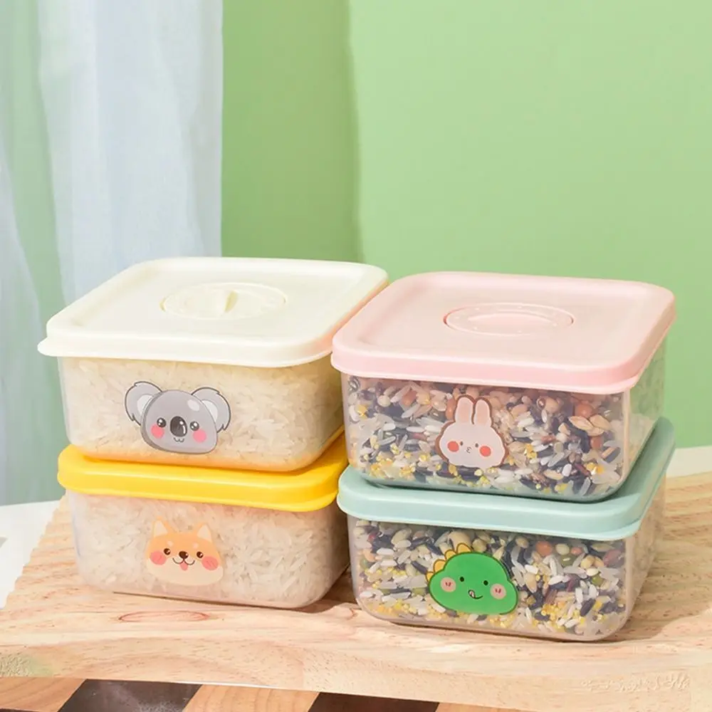 Durable Food Grade Fresh-Keeping Box Fresh Food Storage Container Sub-Packing Package Refrigerator Storage Box Lunch Boxes