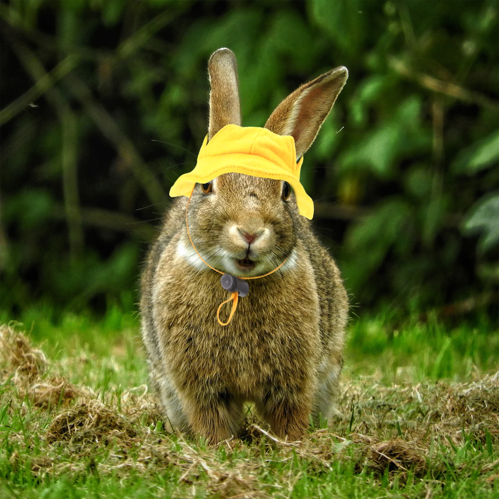 

Pet Yellow Hat Hats for Bunny Rabbits Ferret Outfits Bunnies Mini Bucket Decorate