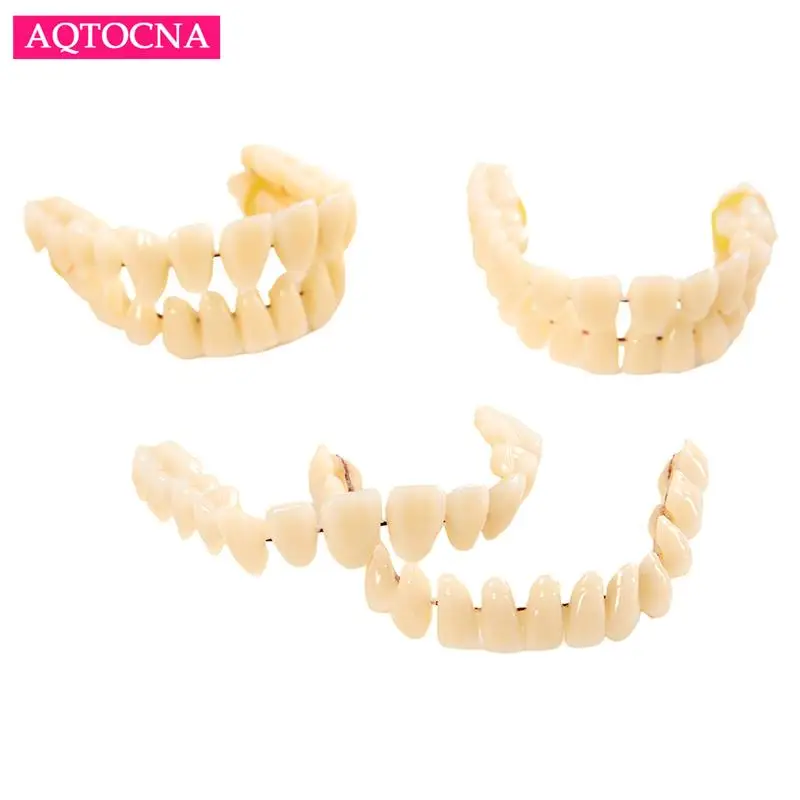 28Pcs Tooth/Set Universal Resin False Teeth Resin Model Durable Dentures Dental Material Teeth Teaching Model Dedicated Teeth