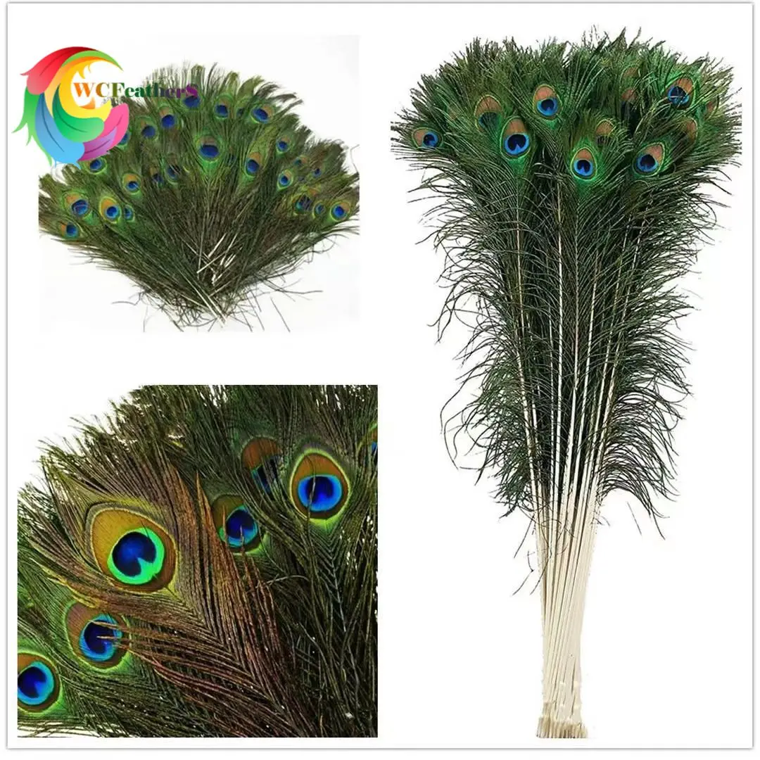 High Quantity Peacock Feathers 25-65cm long Plumes for Jewelry Making Handicraft Home Decoration Wholesale 50pcs 100pcs