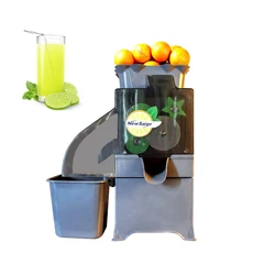 Electric Orange Juicer Kumquat Squeeze Machine Lemon Juicer Machine Fresh Juice Press