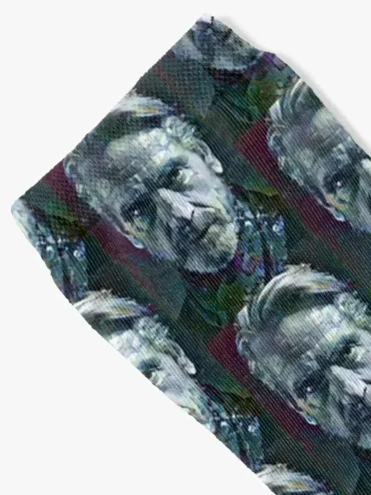 Jeremy Irons Portrait Socks aesthetic funny gifts Socks Men Women's