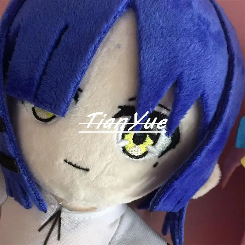 Niedlicher Cartoon BOCCHI THE ROCK Gotoh Hitori Yamada Ryo Kinder-Weihnachtsgeschenkspielzeug 20CM