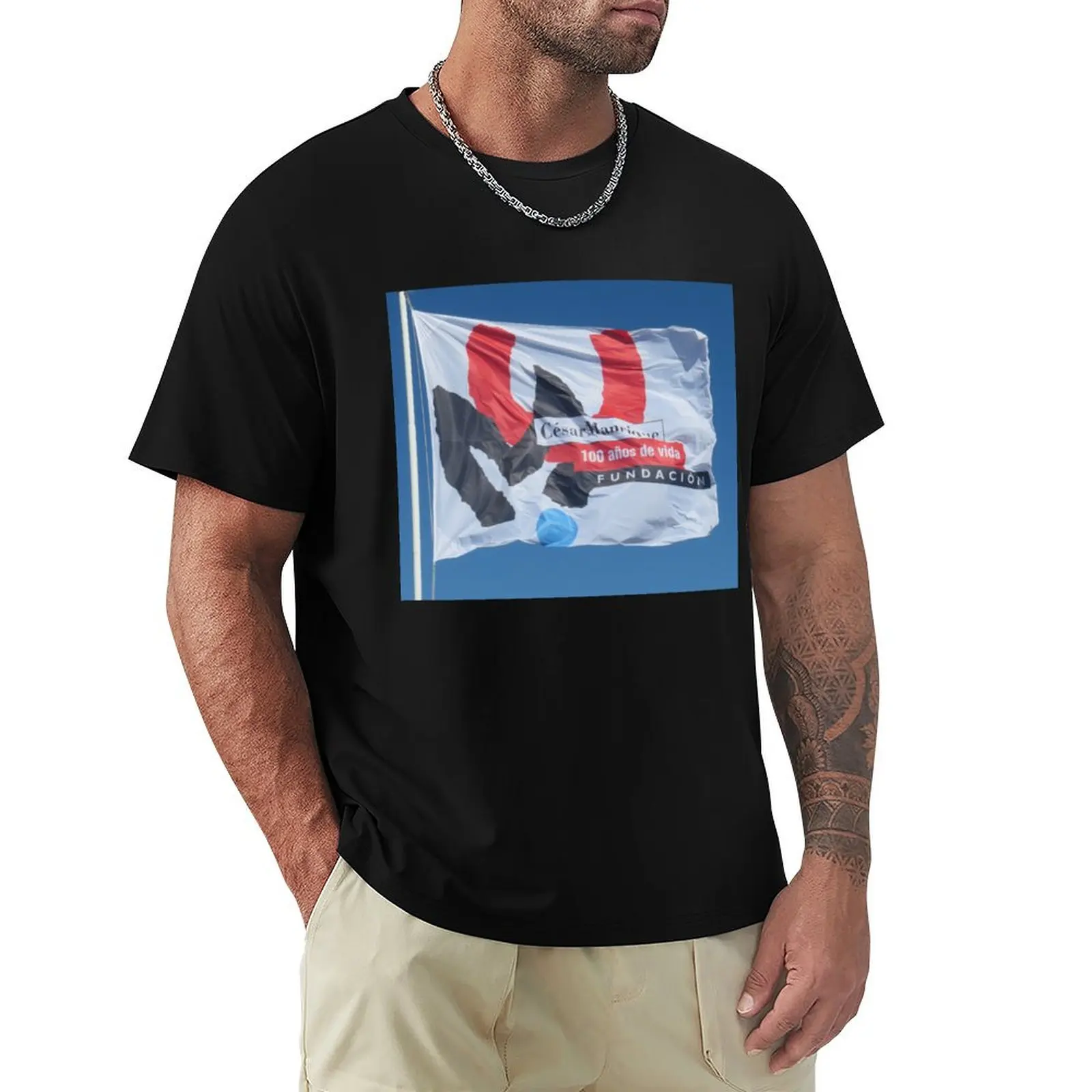 

Cesar Manrique Centenary Flag T-Shirt korean fashion shirts graphic tees men graphic t shirts