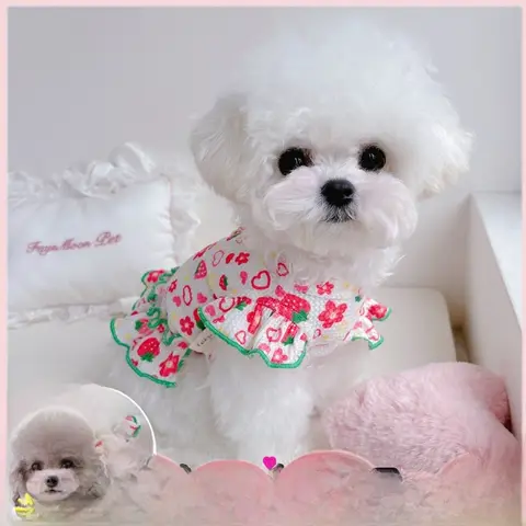 프린트 반려견 스커트 프린트 프린트 패턴 플리츠 소형견 펫웨어 비숑 외출용 스커트 반려견 의류 스커트