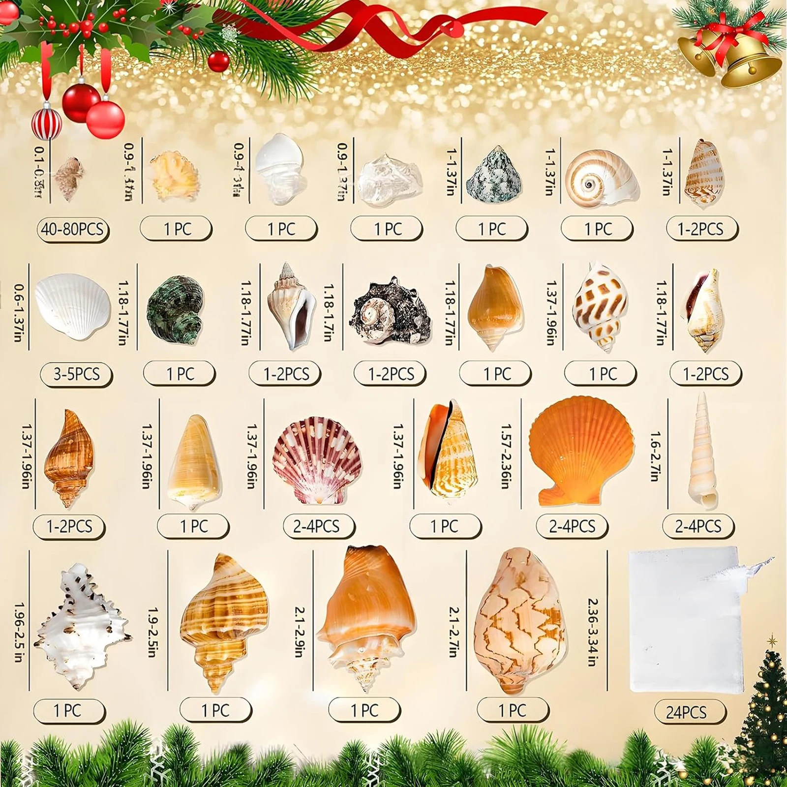 

Seashells Advent Calendar 2025 24 Days Christmas Countdown Calendar Xmas Holiday Gift for Kids Boys and Girls