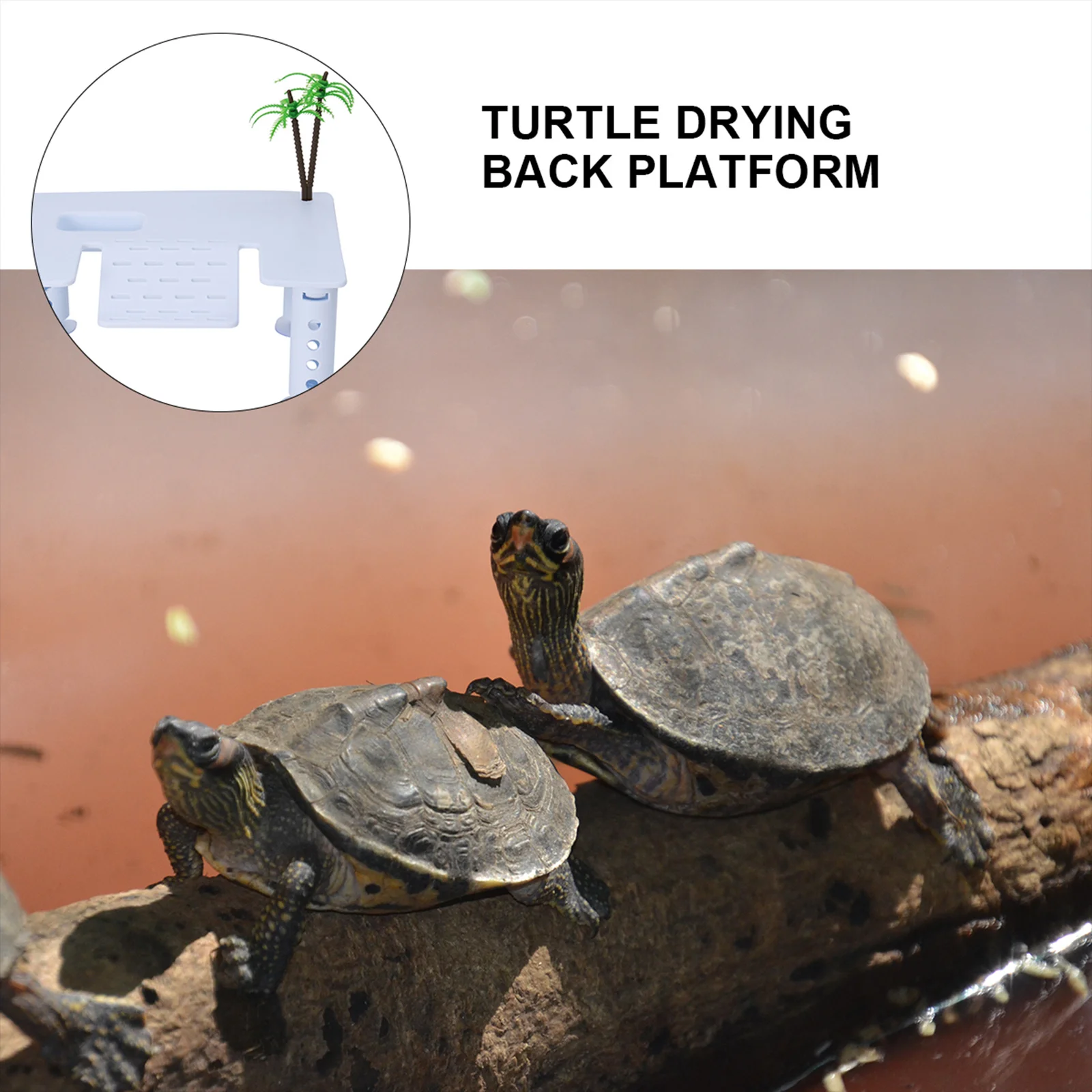 

Square Turtle Drying Back Platform DIY Assembly Plastic Floating Reptile Stair Island Aquarium Fish Tank White Rustfree
