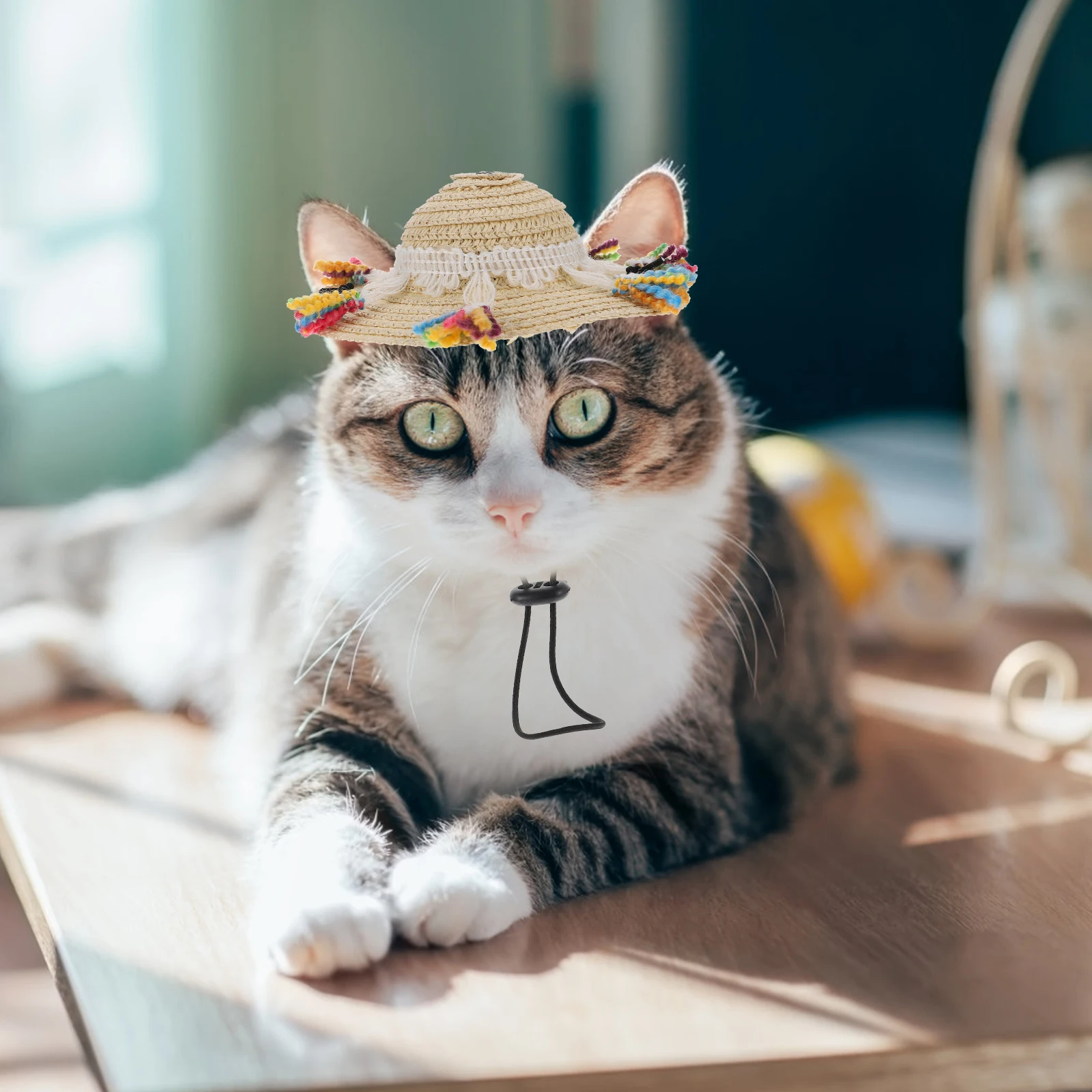 

Creative Lightweight Pet Tassel Straw Fashionable Dog Sombrero Cap Party Photo Prop Adjustable Decorative Costume Accessory For