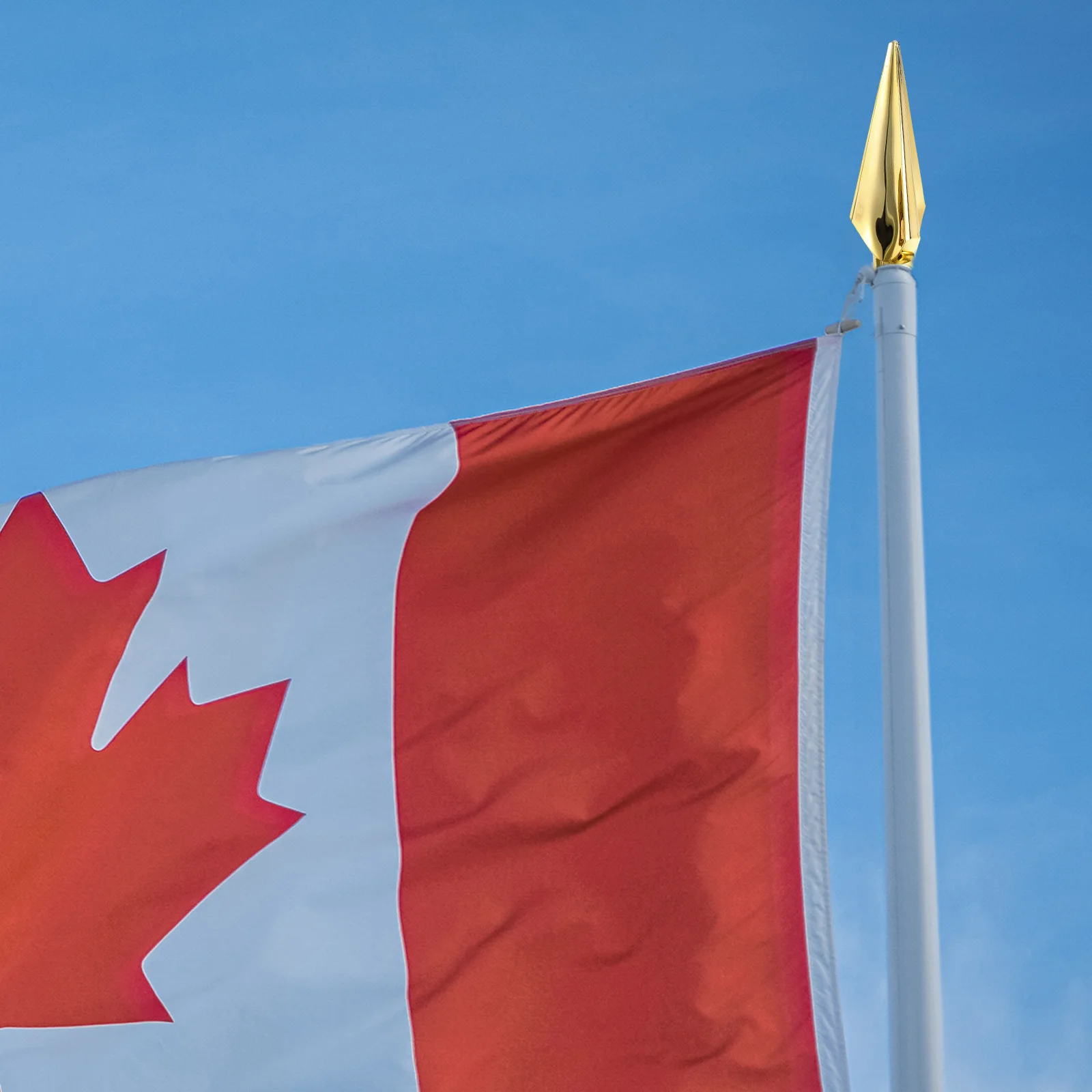 

1pc Creative Plastic Flag Pole Head Decorative Topper Home Office Holiday Decoration Replacement Finial Elegant Design