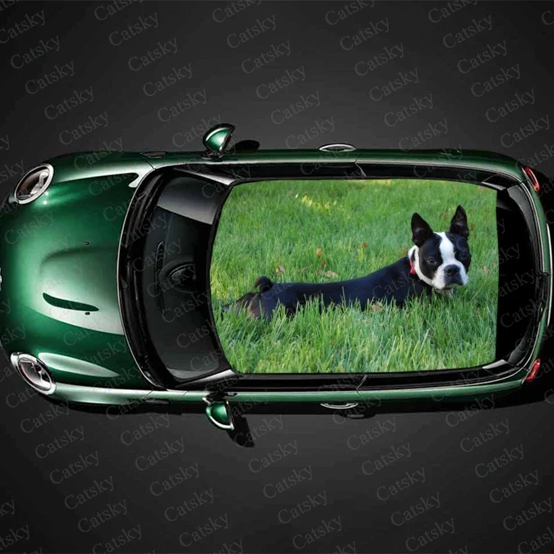 

Custom Animal Boston Terrier Car Roof Sticker Decoration Film Car Decal Vinyl Sticker Graphic Wrap Car Body Protect Accessories