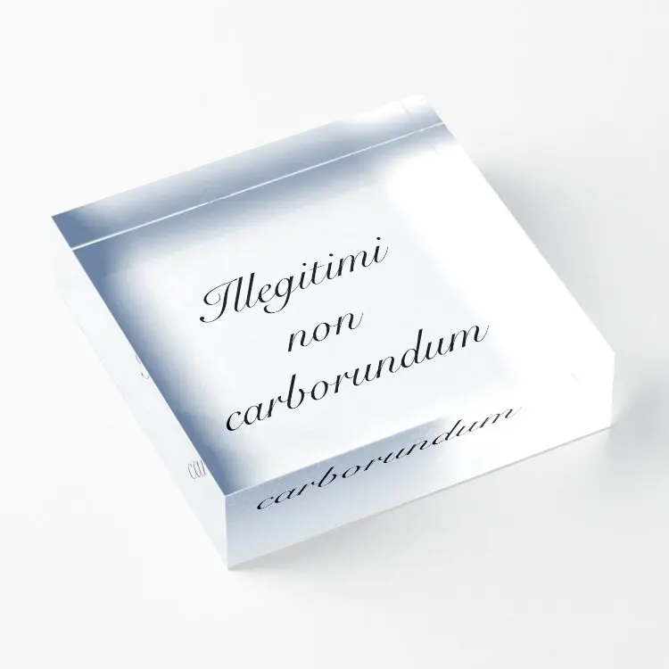 Illegitimi Non Carborundum  Acrylic Block Cute Stamping Room Decoration Bedroom Decor Photos Funny Home Transparent Process Art