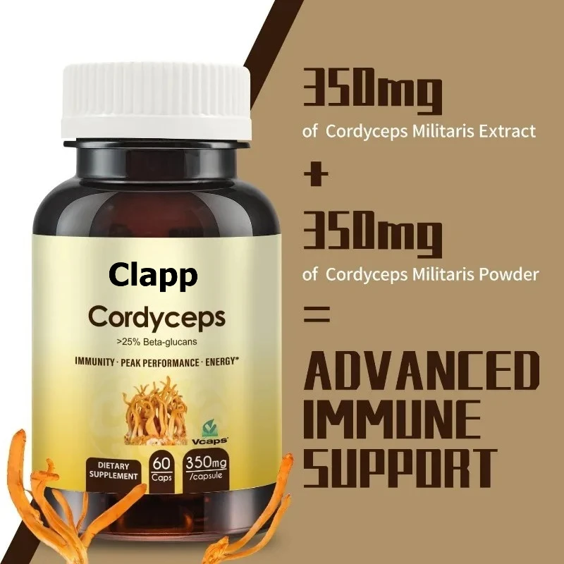Cordyceps Sinensis Capsules, Mushroom Extract Supplement Powder Containing 31% Β - Glucan, 60 Capsules, Organic and Vegan