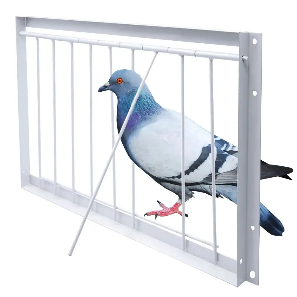 #65 Compare Birdhouses Before You Buy