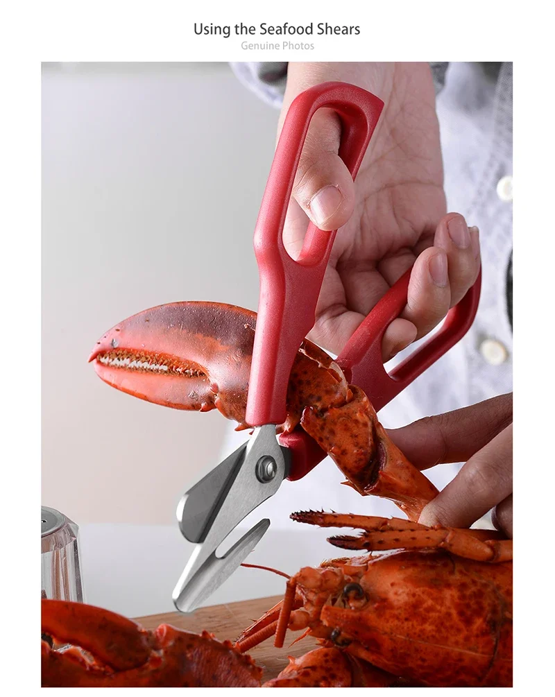 2Cr14 Edelstahl-Multifunktionsschere mit abnehmbarem Hummer- und Krabbenschere – Handwerkzeug für Meeresfrüchte in der Küche – Detail 10