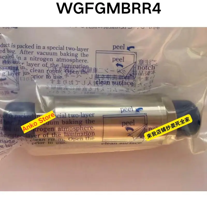 

Brand-new Original WGFGMBRR4 filter