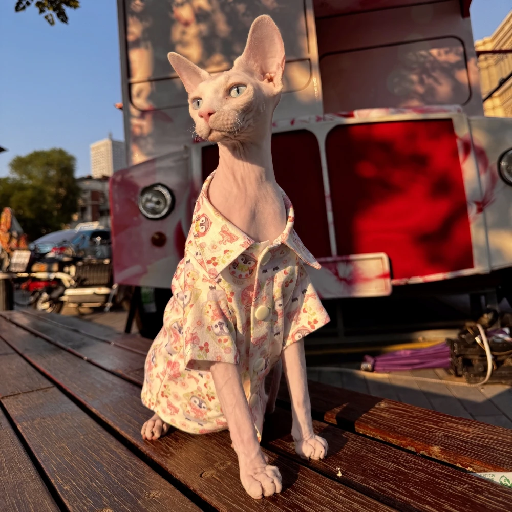 Cat Cloting Pink Owl Shirt for Sphynx Cat Summer Miękka bawełniana bluzka dla kociąt Małe psy Wiosna Ponad rozmiar Płaszcz dla Devon Rex