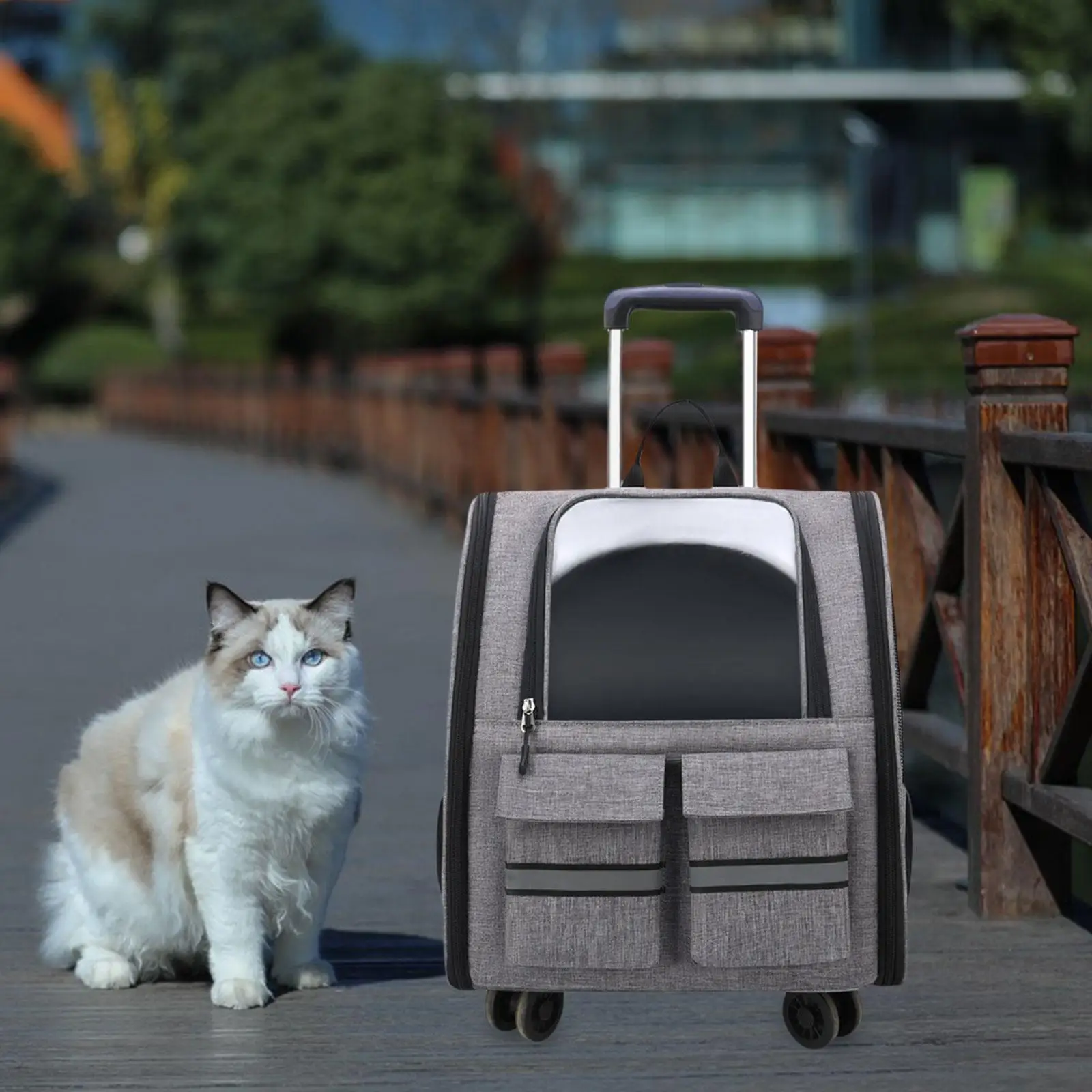 Portable Cat Trolley Case Backpack with Handle Pet Carrier Handbag Carrying Bag for Small Cats Doggy Travel Outdoor Transparent