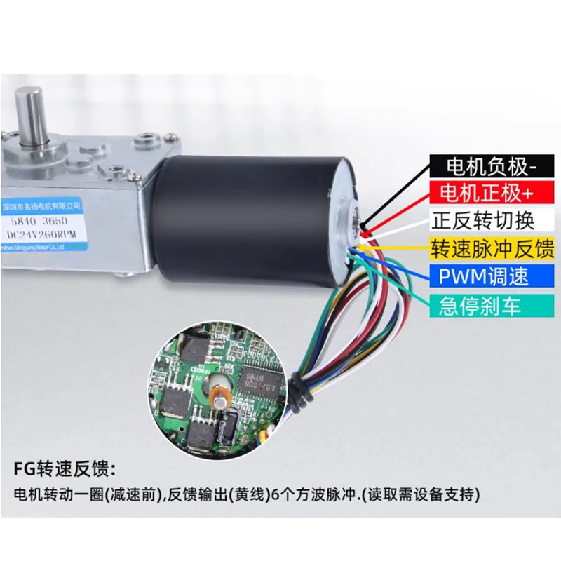 5840-3650 mit Bremse, Not-Aus-Signal-Feedback, hoher Takt, CW, CCW, einstellbare Geschwindigkeit, bürstenloser Untersetzungs-Schneckengetriebe-Gleichstrommotor