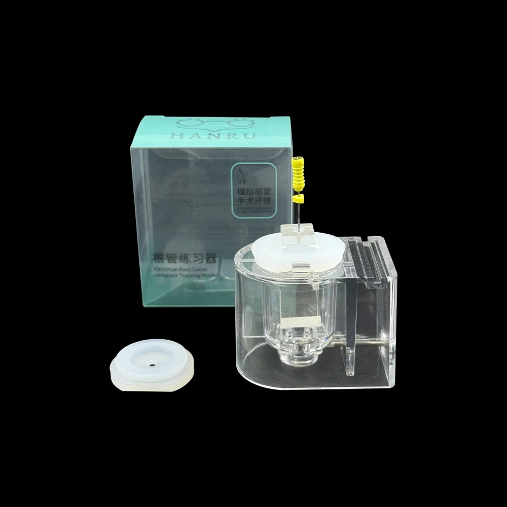 Root Canal Training Simulator Endodontic Apical Module Files  Endo Root Block Treatment Practice Exerciser Dentistry Accessories