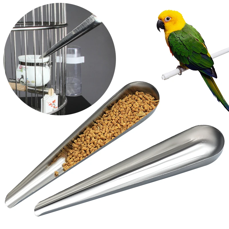 Ferramenta de alimentação de aço inoxidável para pet bird, comida adicionando colher, gaiola pequena, comida adicionar acessórios, papagaio, 1 pc