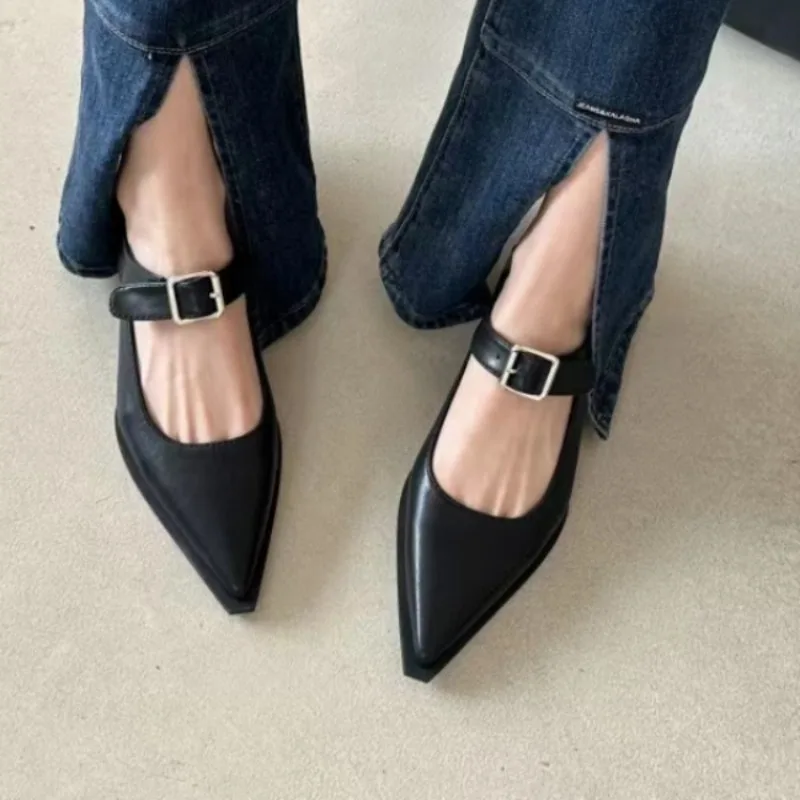 Spring Summer Pointed Toe Women Mary Jane Shoes Women Fashion Elegant Low Heel Shoes Ladies Casual Belt Buckle Pumps