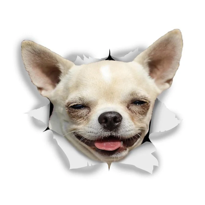 

LYKX счастливая чихуахуа, модель мотоцикла, ноутбука, декоративные аксессуары, индивидуальная наклейка из ПВХ