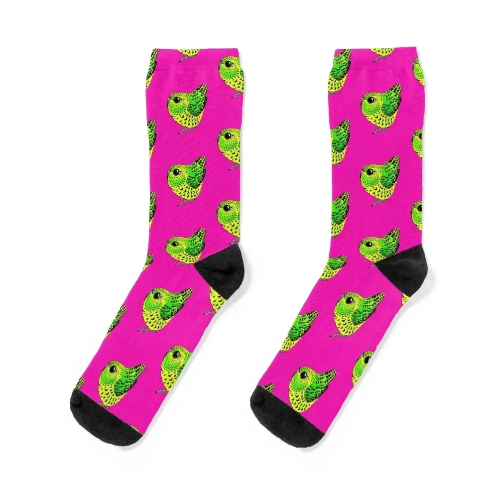 

Australia's Rare Night Parrot Socks tennis moving stockings new in's Non-slip Men's Socks Women's