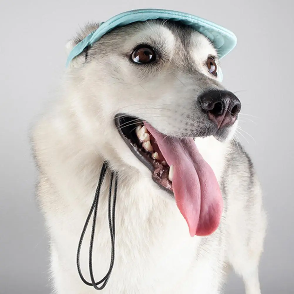 Casual Dog Sunhat  Ear Holes Design Cloth Pet Headgear  Puppy Baseball Cap Sun Visor Hat Decor