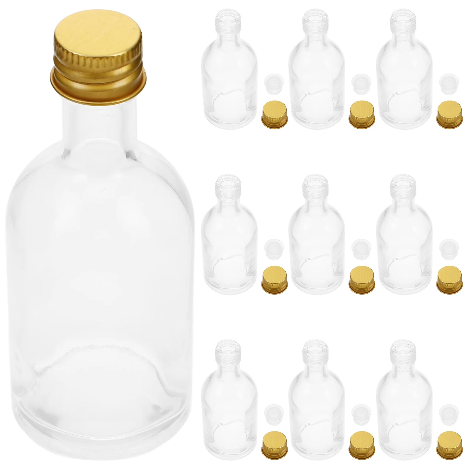 

10Pcs Clear Glass Bottles Portable Small Transparent Containers Easy Use Mini Bottles for Liquids Airtight Lids 50ml