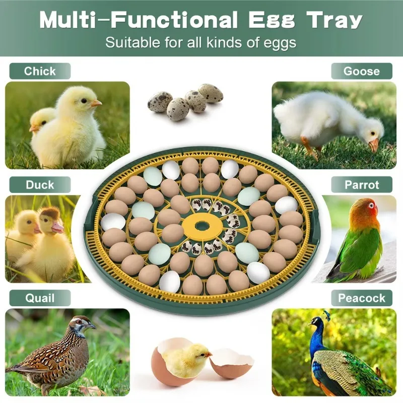 حاضنة بيض أوتوماتيكية صغيرة بقوة 52 بيضة مزدوجة لآلة تفريخ بيض الدواجن والبط #3
