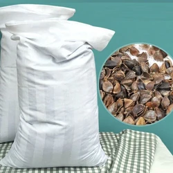 Creative Full Buckwheat Pillow Core, Neck and Waist Protection, Children's Sleep Assistance, Cervical Pillow, 30x50cm, 1Pc