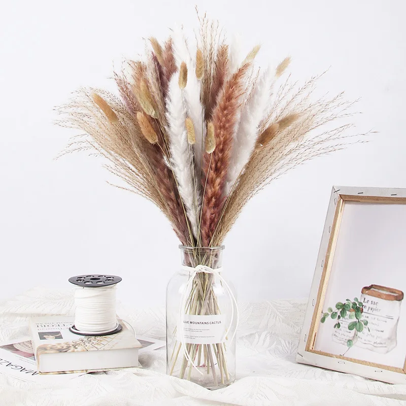Luxury Rabbit Tail Pampas Grass Reed Gold Orbs Natural Dried Flowers Bouquet For Home Wedding Decoration Valentines Day Gift image 4