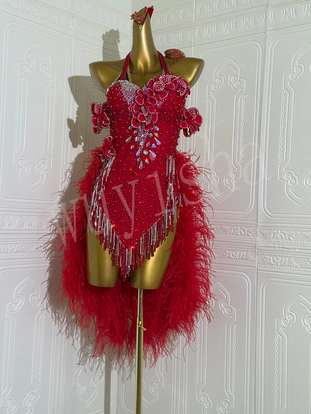 Wuyisha's New Latin Dance Ostrich Feather Competition Costume, Adult Performance Outfit, Custom-Made High-End Performance Attire