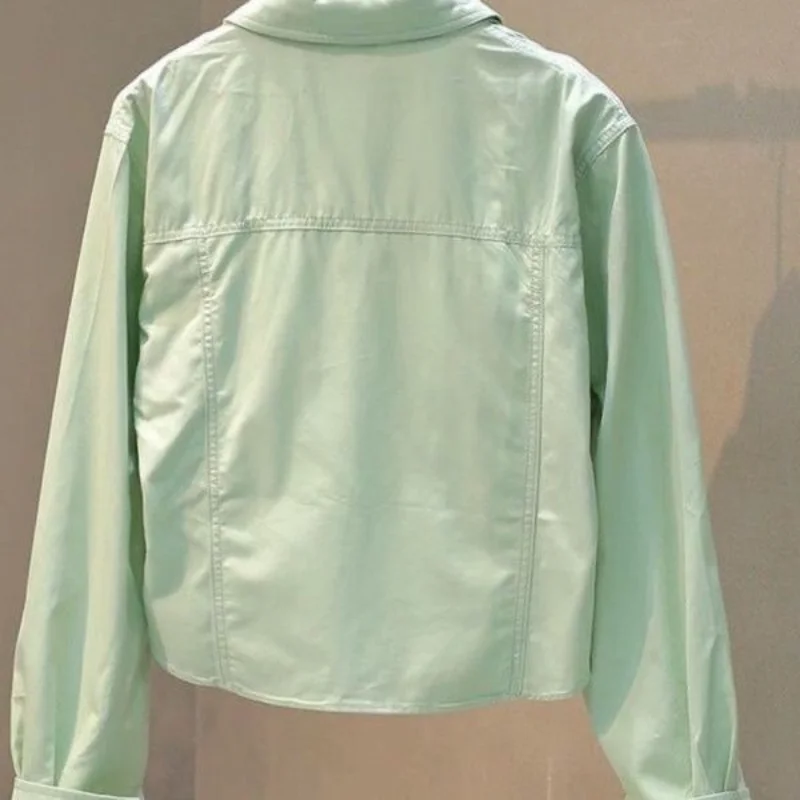 Design-sensing Niche Shirt for Women in Autumn and Winter Korean Style Loose Slim Casual Small Blue Short Jacket