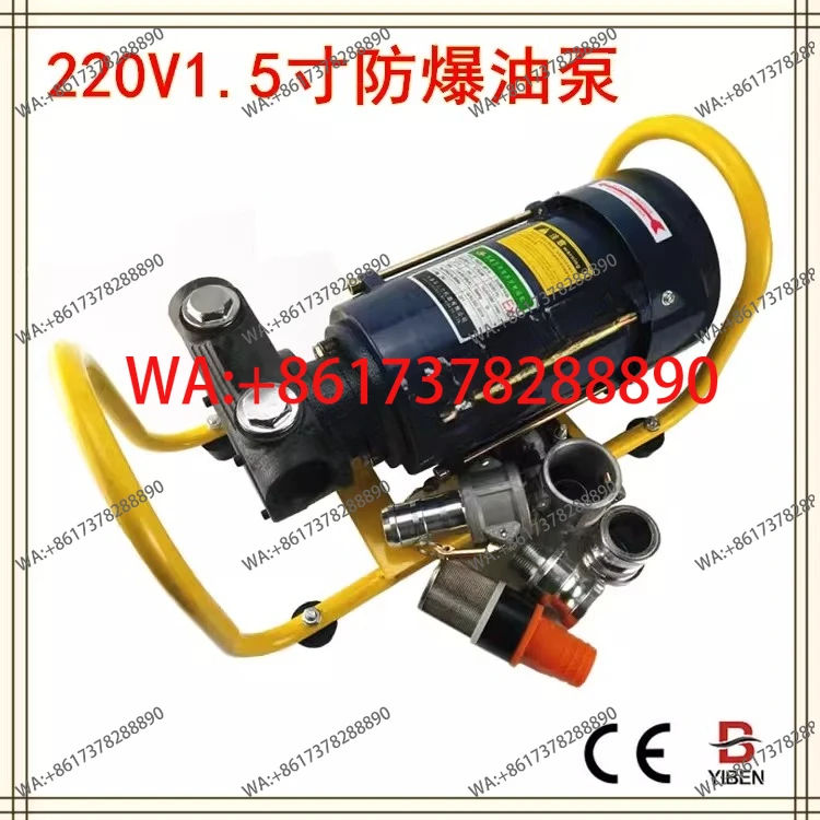 Pump Explosion-proof Motor High Flow Pump 220V380V Methanol Self-Priming Oil Pump